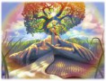 /album/ven-y-conoce-una-nueva-forma-de-ver-y-vivir-la-vida-/arbol-jpg/