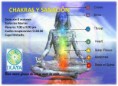 /album/ven-y-conoce-una-nueva-forma-de-ver-y-vivir-la-vida-/chakras-ok-jpg1/